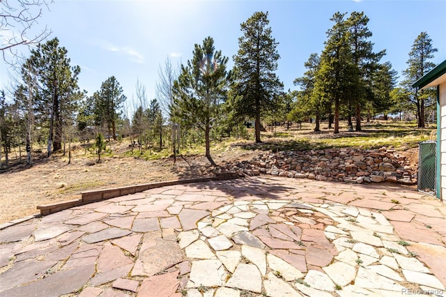 116 Schooley Rd, Bailey, CO 80421 - view of patio / terrace