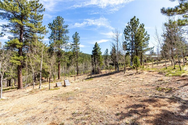 116 Schooley Rd, Bailey, CO 80421 - view of woods