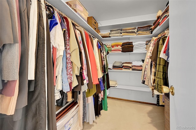 7439 S Depew St, Littleton, CO 80128 - walk in closet with carpet floors