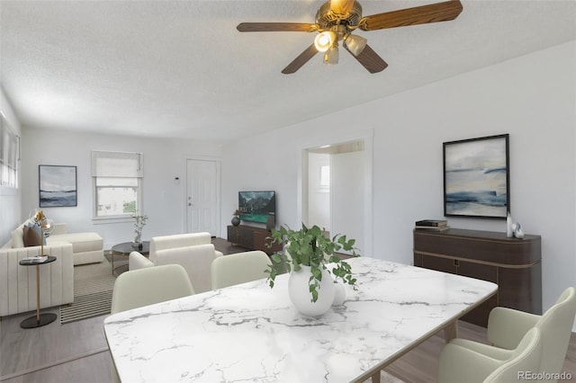 dining space featuring ceiling fan and a textured ceiling