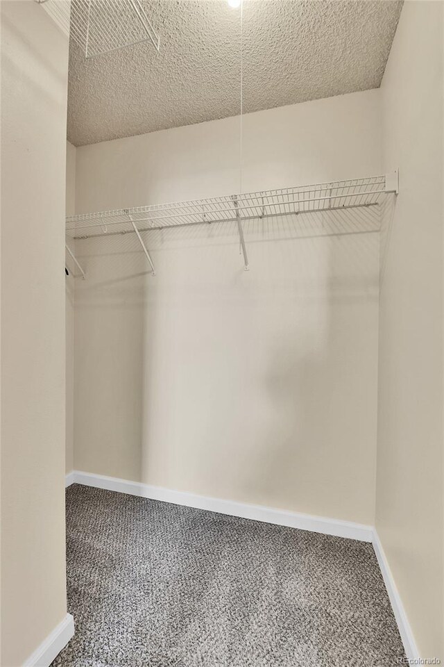 walk in closet with carpet floors