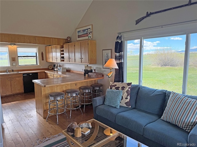 700 County Road 150, Westcliffe, CO 81252 - living area featuring light wood finished floors and high vaulted ceiling