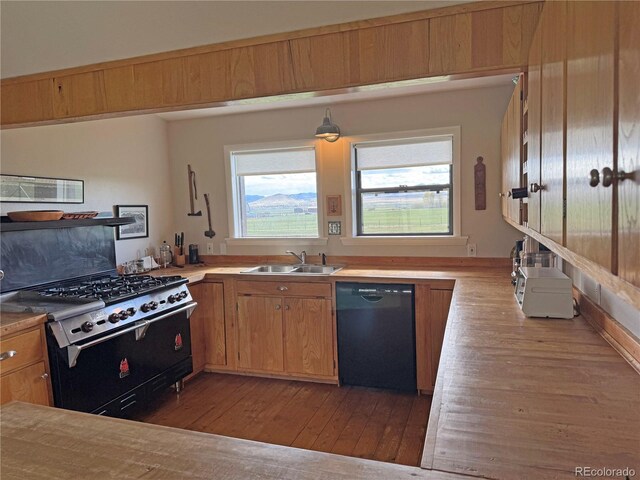 700 County Road 150, Westcliffe, CO 81252 - kitchen with black dishwasher, a sink, gas range oven, and plenty of natural light