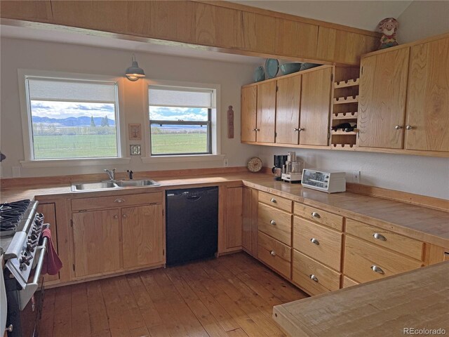 700 County Road 150, Westcliffe, CO 81252 - kitchen with dishwasher, a sink, high end stainless steel range oven, open shelves, and light wood-style floors