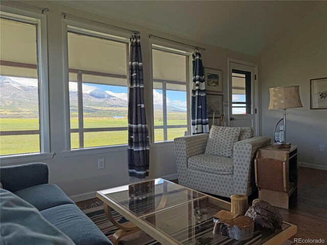 700 County Road 150, Westcliffe, CO 81252 - living room with baseboards, wood finished floors, and lofted ceiling