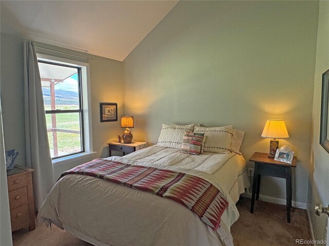 700 County Road 150, Westcliffe, CO 81252 - bedroom with carpet flooring, vaulted ceiling, and baseboards
