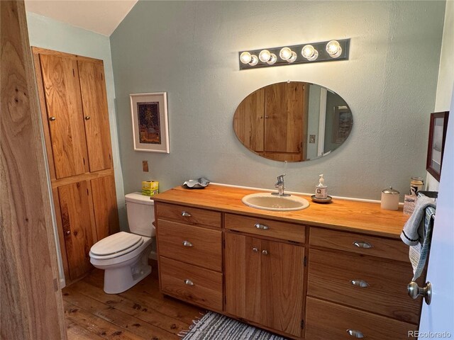 700 County Road 150, Westcliffe, CO 81252 - bathroom featuring vanity, hardwood / wood-style floors, and toilet