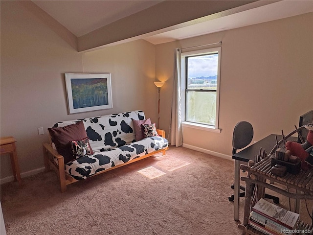 700 County Road 150, Westcliffe, CO 81252 - carpeted home office featuring baseboards