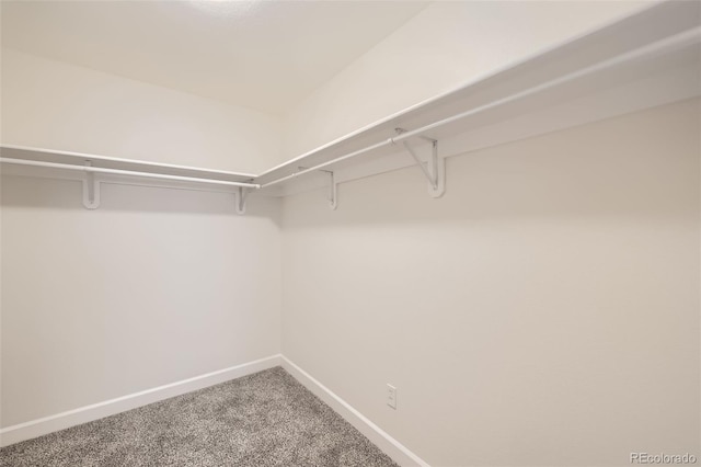 spacious closet with carpet