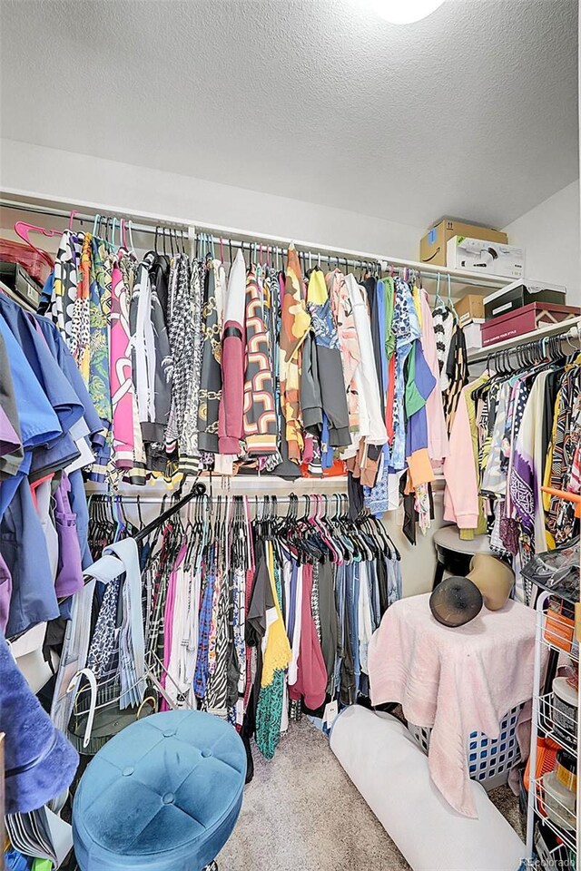 walk in closet with carpet floors