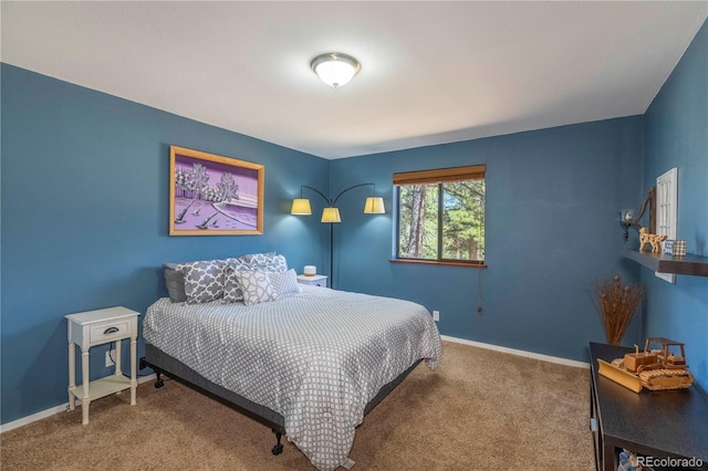 51 Schooley Rd, Bailey, CO 80421 - bedroom featuring carpet and baseboards