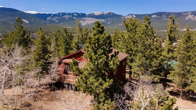 51 Schooley Rd, Bailey, CO 80421 - mountain view