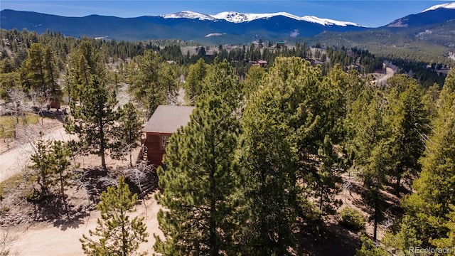 51 Schooley Rd, Bailey, CO 80421 - mountain view with a forest