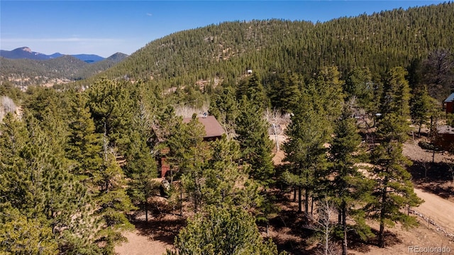 51 Schooley Rd, Bailey, CO 80421 - view of mountain backdrop with a forest