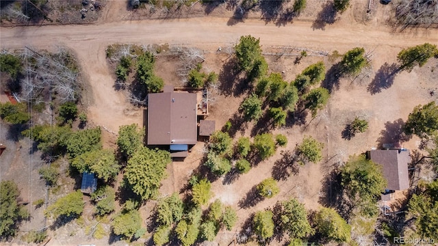 51 Schooley Rd, Bailey, CO 80421 - overview of rural landscape