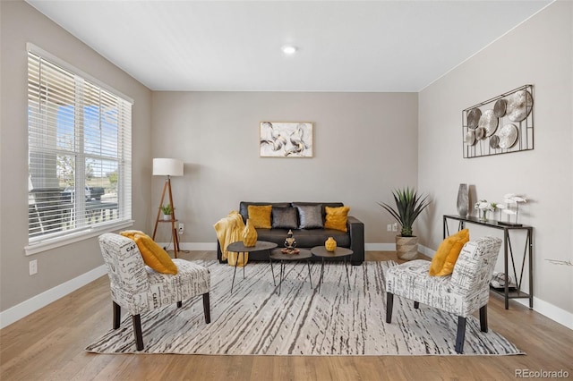 living room with baseboards and wood finished floors