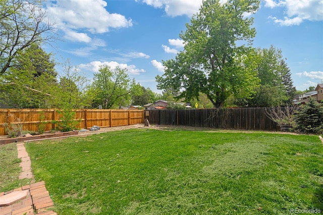 view of yard