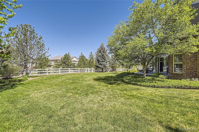 view of yard