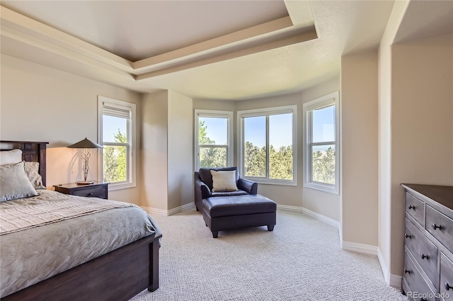 10529 Dacre Pl, Lone Tree, CO 80124 - bedroom featuring a tray ceiling and light carpet