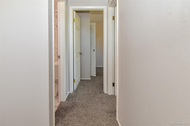 5719 S Lowell Blvd, Littleton, CO 80123 - hallway featuring carpet flooring