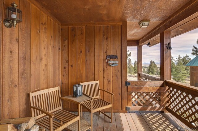 3750 Singletree Rd, Hartsel, CO 80449 - view of deck