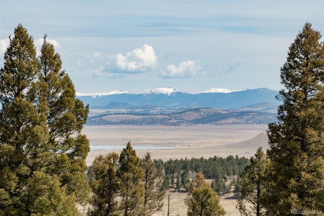 3750 Singletree Rd, Hartsel, CO 80449 - property view of mountains