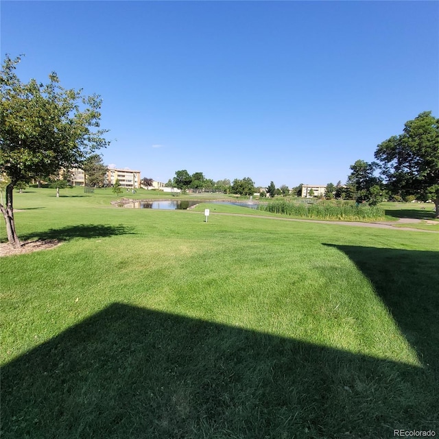755 S Clinton St Unit 6B, Denver, CO 80247 - view of grassy yard featuring a water view