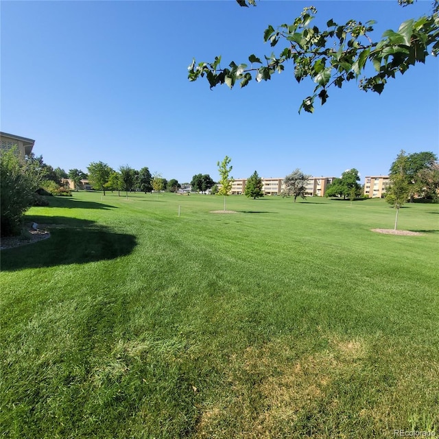 755 S Clinton St Unit 6B, Denver, CO 80247 - view of grassy yard featuring golf course view