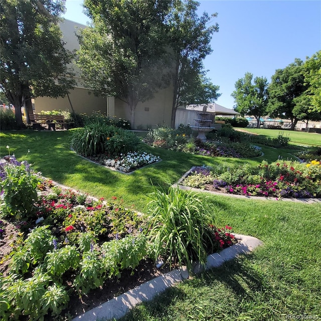 755 S Clinton St Unit 6B, Denver, CO 80247 - view of green lawn