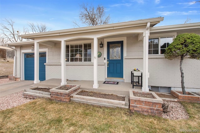 view of exterior entry featuring a porch, an attached garage, brick siding, and driveway