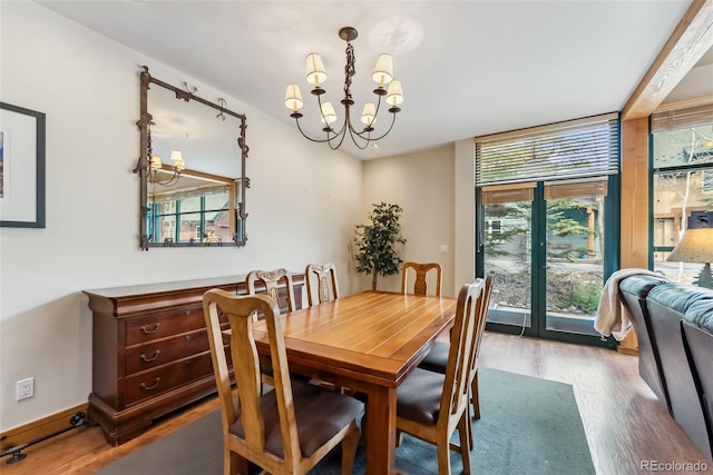dining room featuring a chandelier, wood finished floors, and healthy amount of natural light