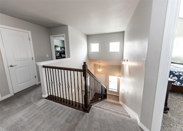 9835 Rubicon Dr, Colorado Springs, CO 80925 - staircase with carpet floors and baseboards