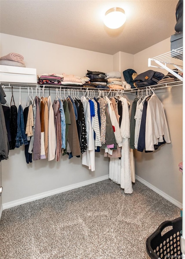 9835 Rubicon Dr, Colorado Springs, CO 80925 - walk in closet featuring carpet floors