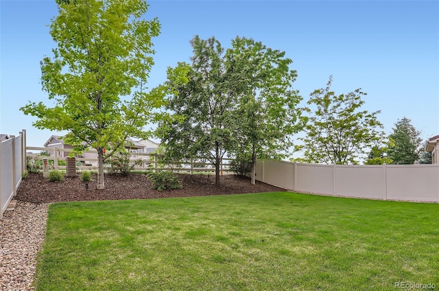 5218 Silverwood Dr, Johnstown, CO 80534 - photo 29