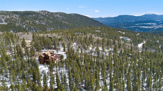 mountain view with a forest view