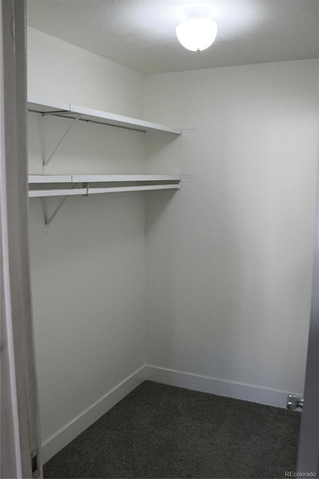 walk in closet with dark carpet