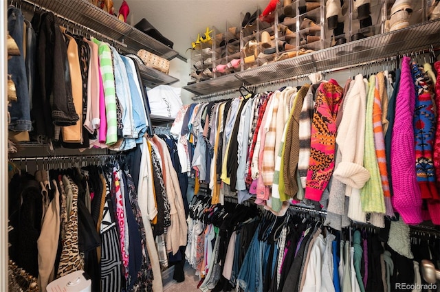 spacious closet featuring carpet floors