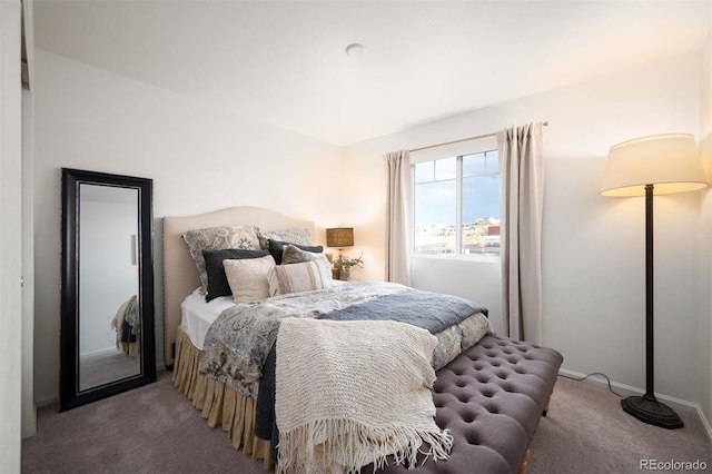 bedroom with carpet flooring