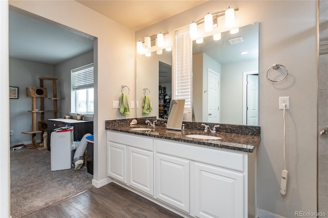 5672 Tramore Ct, Colorado Springs, CO 80927 - bathroom featuring double vanity, wood finished floors, and baseboards