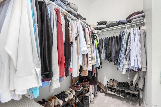 10524 Eby Cir, Lone Tree, CO 80124 - spacious closet with carpet flooring