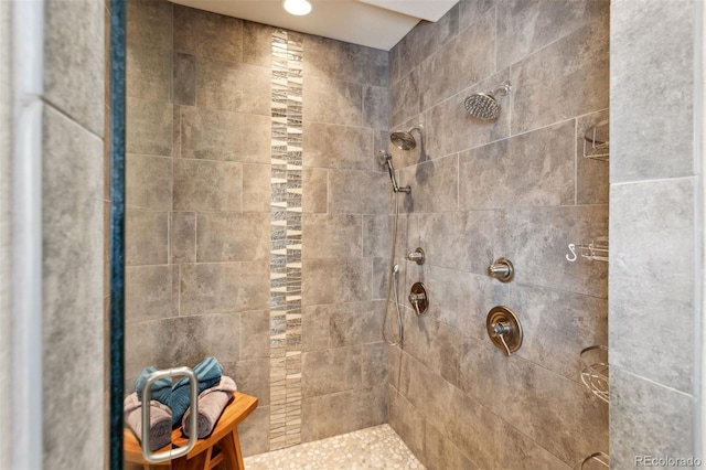 335 Mountain Brush, Colorado Springs, CO 80921 - full bath with a tile shower