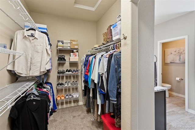 335 Mountain Brush, Colorado Springs, CO 80921 - spacious closet featuring attic access