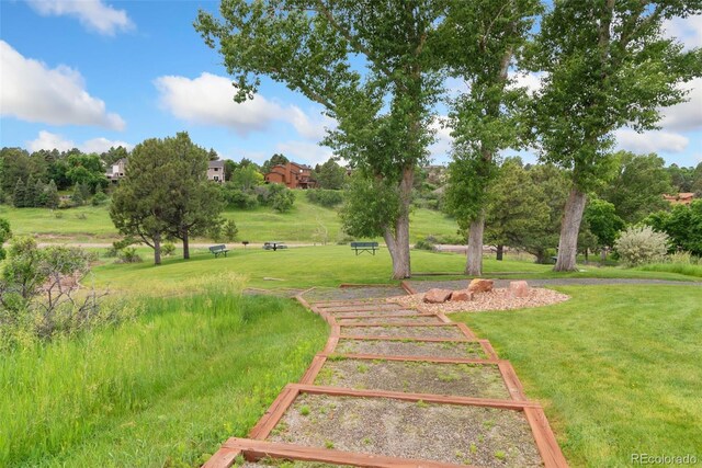 6293 Ponderosa Way, Parker, CO 80134 - photo 25