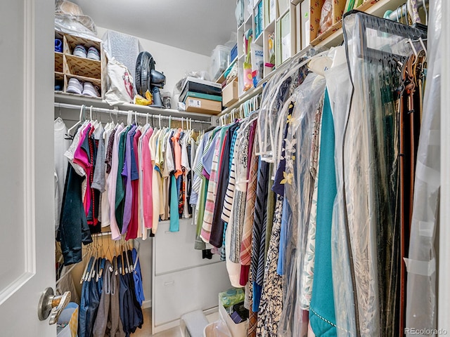 1011 N Pennsylvania St Unit H, Denver, CO 80203 - view of spacious closet