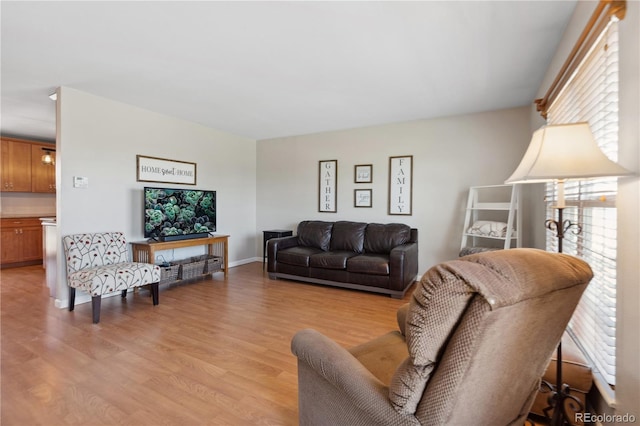 1853 S Zeno Way, Aurora, CO 80017 - living room featuring light wood-style floors
