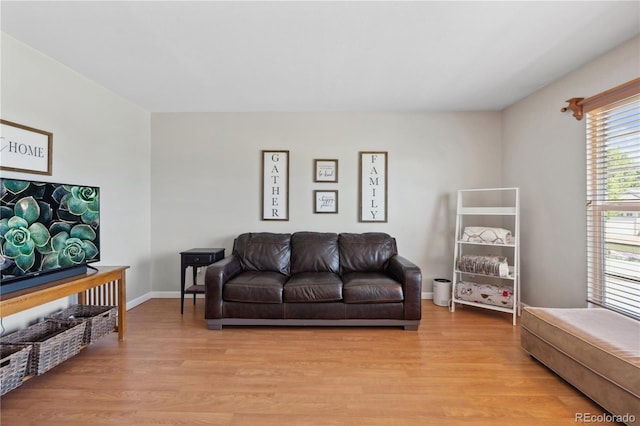 1853 S Zeno Way, Aurora, CO 80017 - living area featuring light wood-style flooring and baseboards