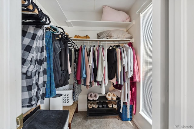 1853 S Zeno Way, Aurora, CO 80017 - spacious closet featuring carpet floors