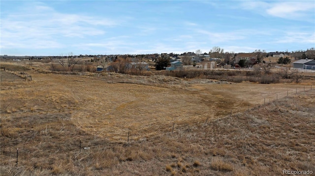 view of local wilderness