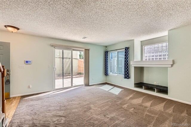 4081 Odessa St, Denver, CO 80249 - unfurnished living room with baseboards, carpet, and a textured ceiling