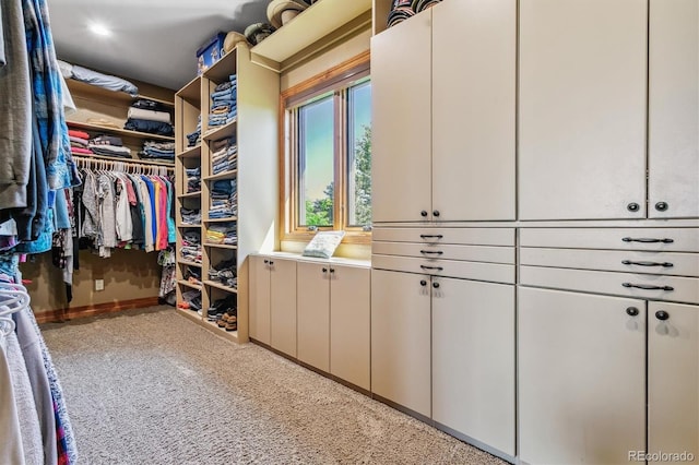 walk in closet with carpet flooring